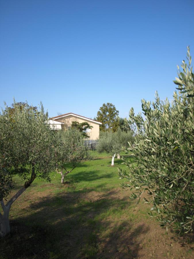 Παληοκτημα - Palioktima Neon Rysion Exterior foto